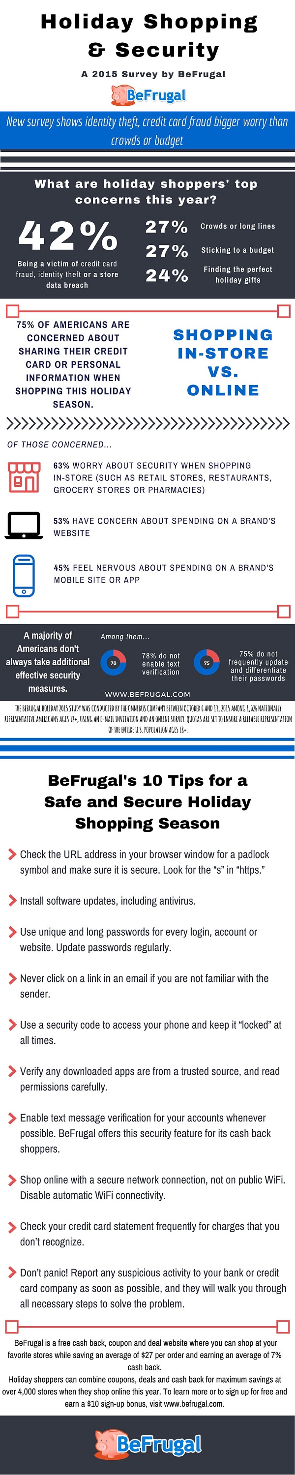 Holiday Shopping Survey Infographic